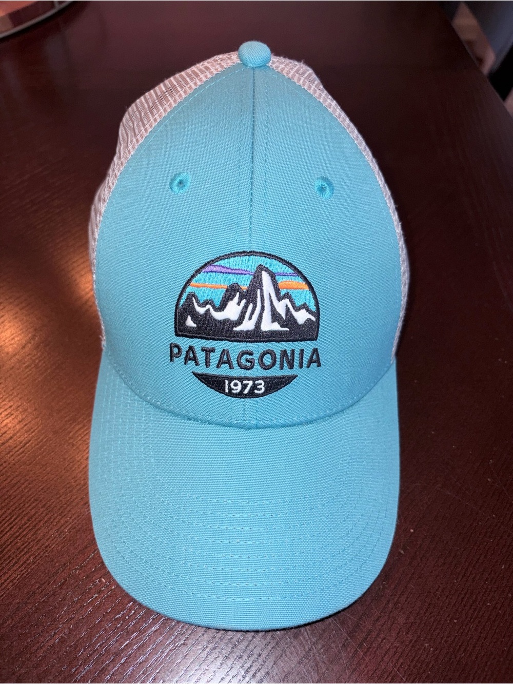 Patagonia Turquoise and White Logo Trucker Hat